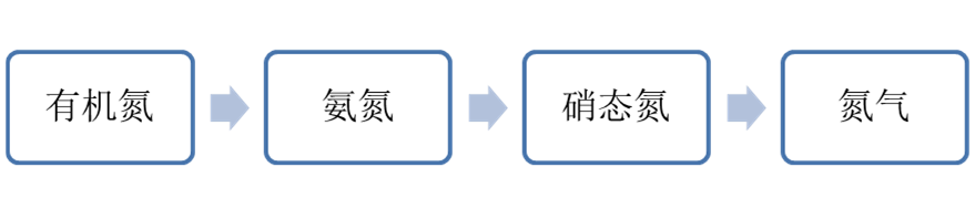 總氮的相互轉(zhuǎn)化