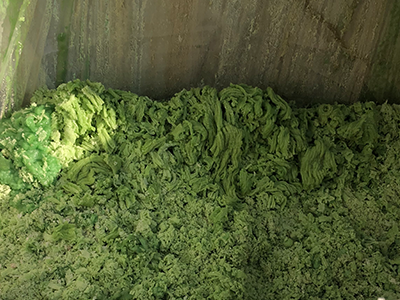 化學(xué)鎳廢液處理